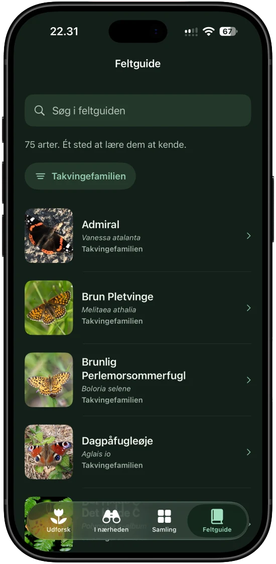 Feltguiden