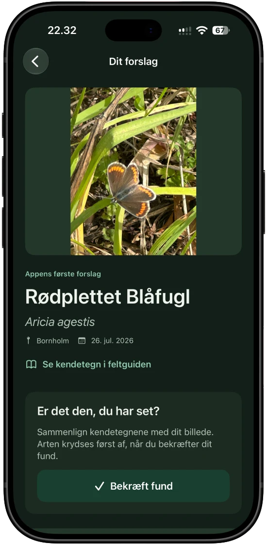 Et resultat af genkendelsen