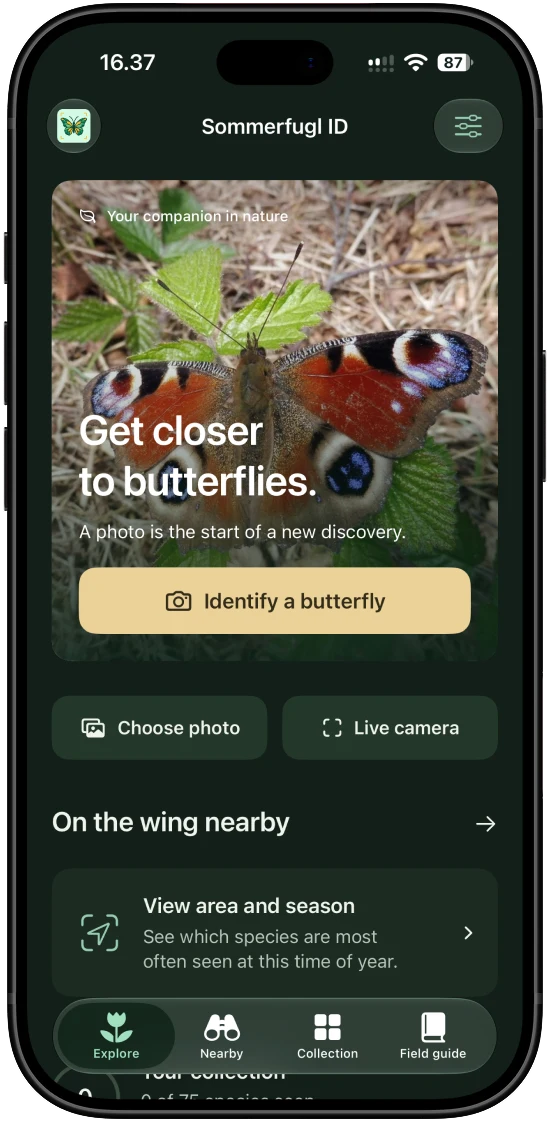 The app's home screen