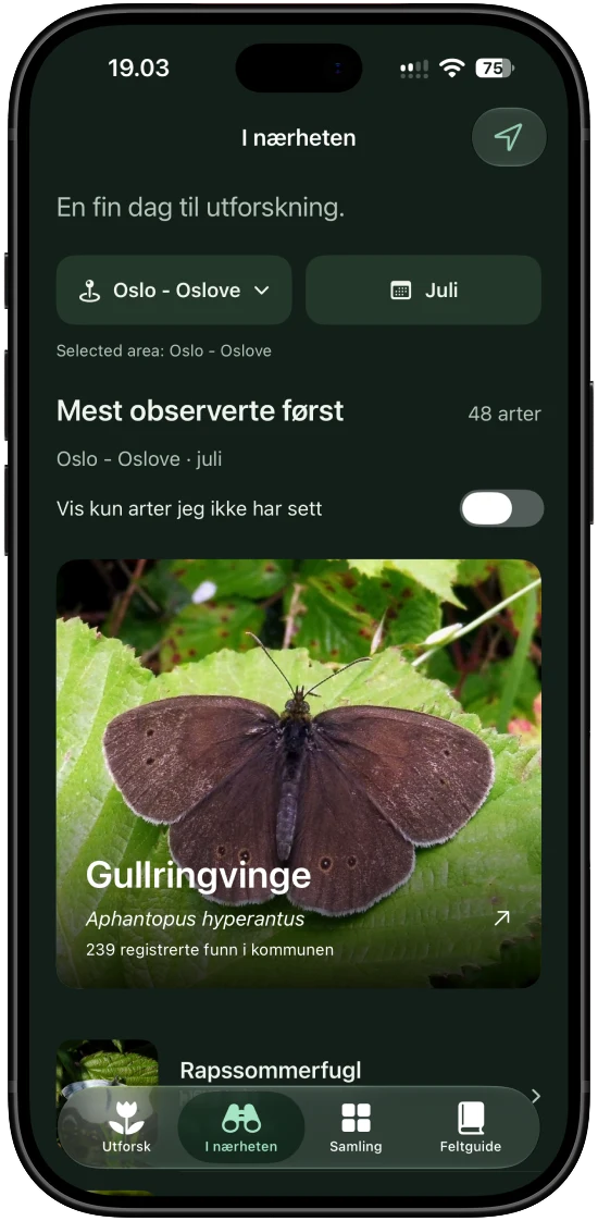 Arter registrert i nærheten