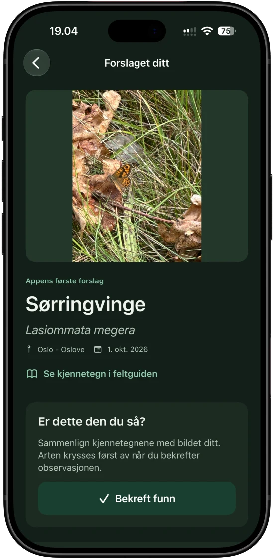 Et identifikasjonsresultat