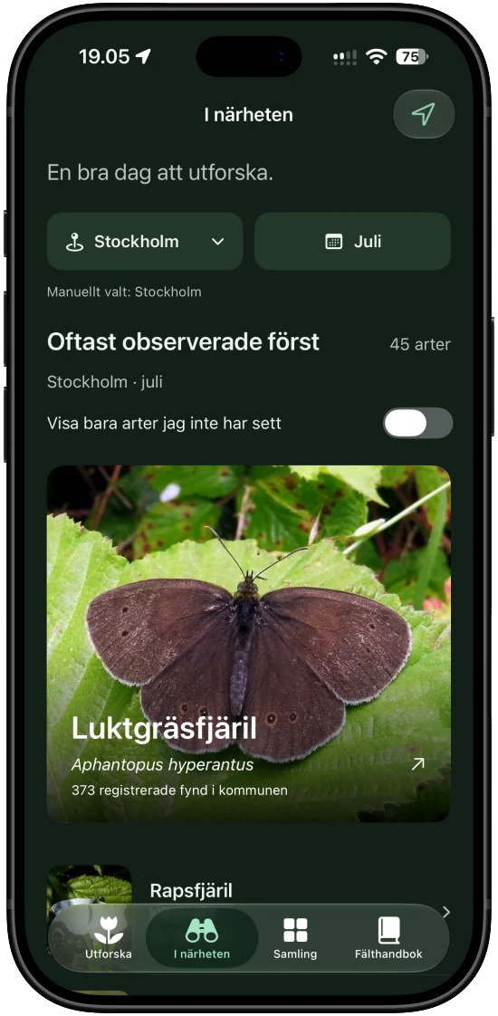 Arter observerade i närheten