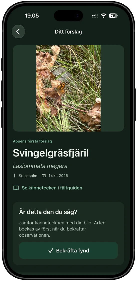 Ett identifieringsresultat